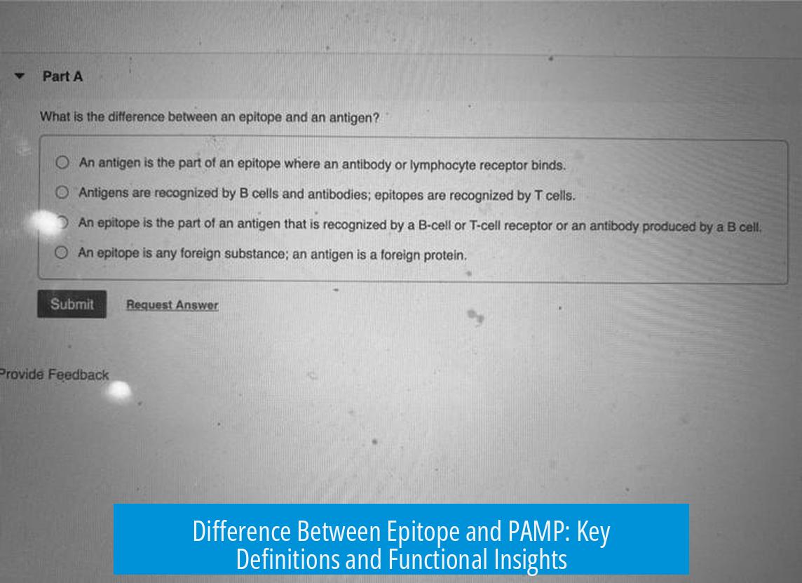Difference Between Epitope and PAMP: Key Definitions and Functional Insights