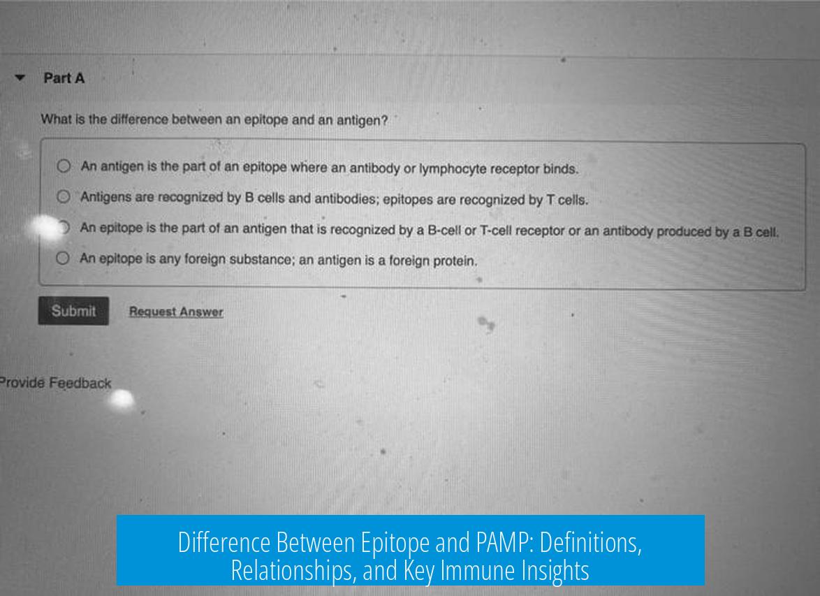Difference Between Epitope and PAMP: Definitions, Relationships, and Key Immune Insights