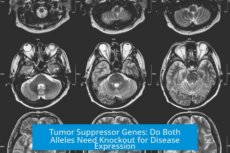 Tumor Suppressor Genes: Do Both Alleles Need Knockout for Disease Expression