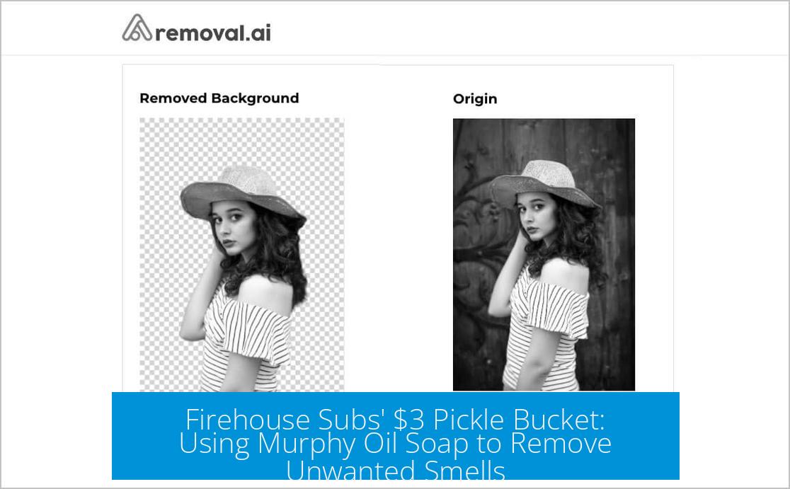 Firehouse Subs' $3 Pickle Bucket: Using Murphy Oil Soap to Remove Unwanted Smells