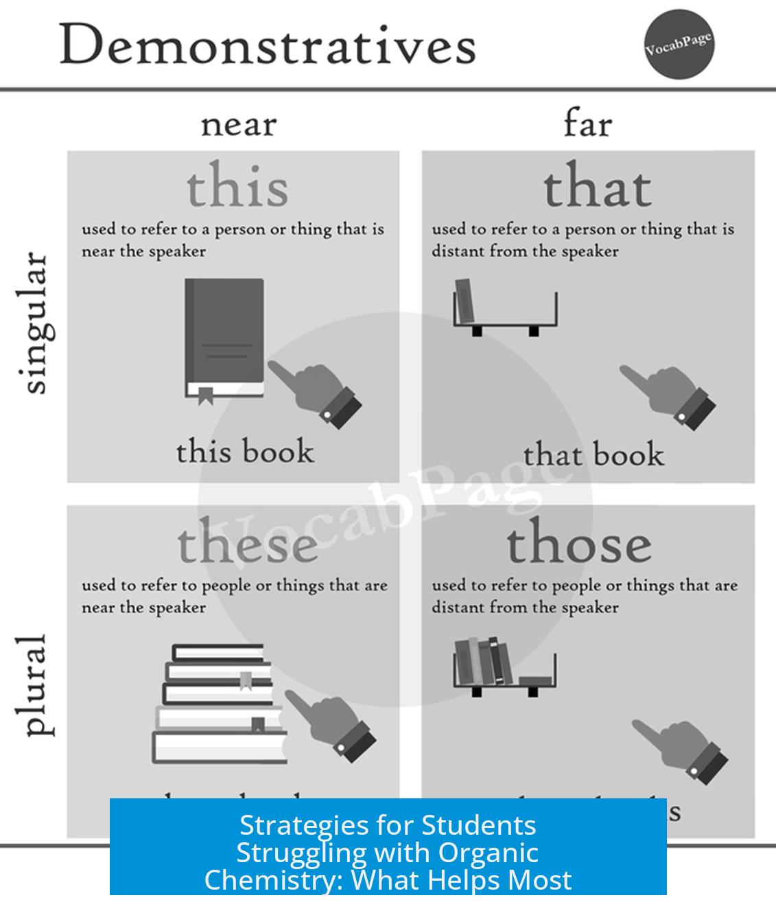 Strategies for Students Struggling with Organic Chemistry: What Helps Most