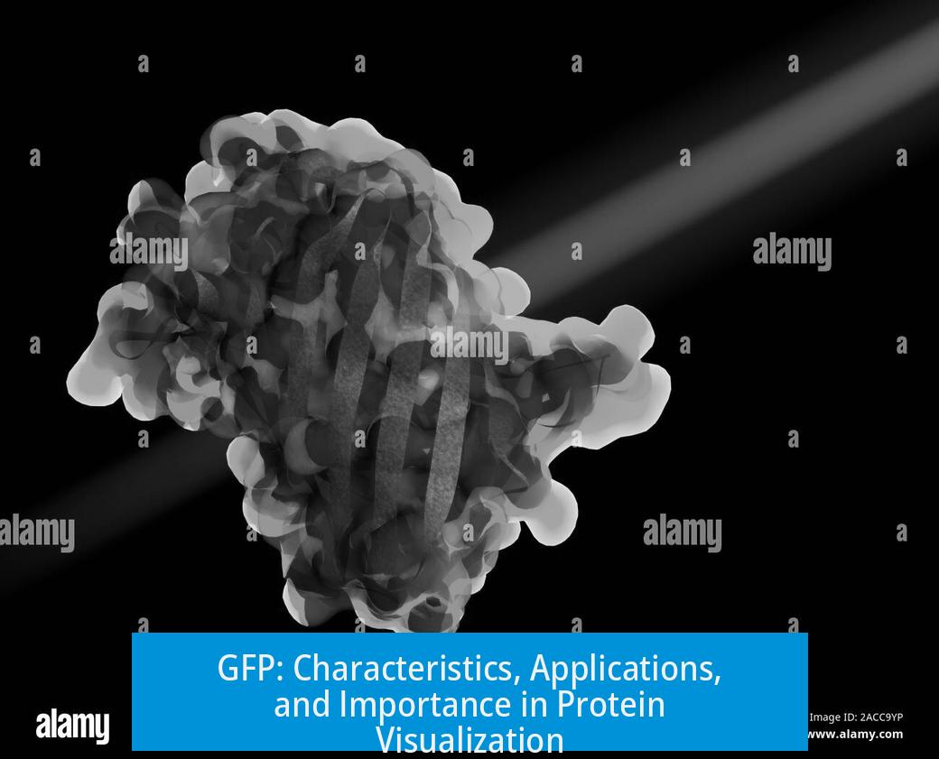 GFP: Characteristics, Applications, and Importance in Protein Visualization