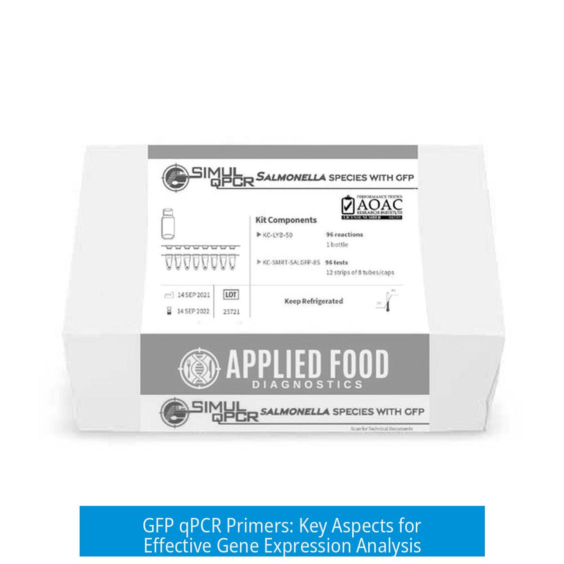 GFP qPCR Primers: Key Aspects for Effective Gene Expression Analysis