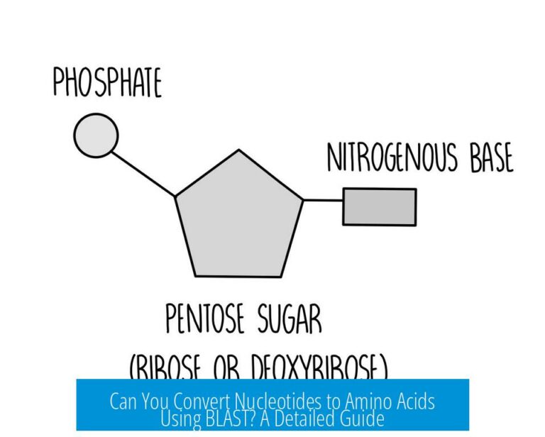 Can You Convert Nucleotides to Amino Acids Using BLAST? A Detailed Guide
