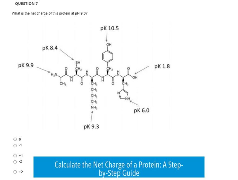 Calculate the Net Charge of a Protein: A Step-by-Step Guide
