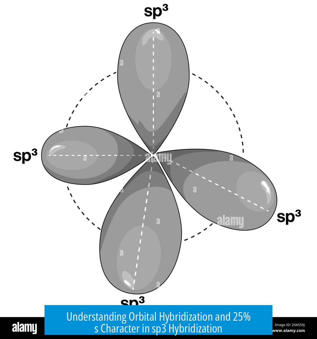 Understanding Orbital Hybridization and 25% s Character in sp3 Hybridization