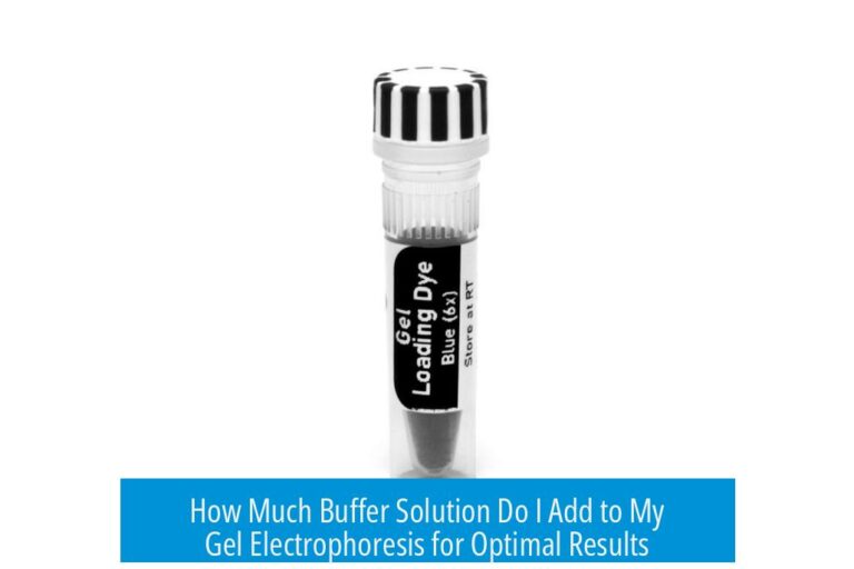 How Much Buffer Solution Do I Add to My Gel Electrophoresis for Optimal Results