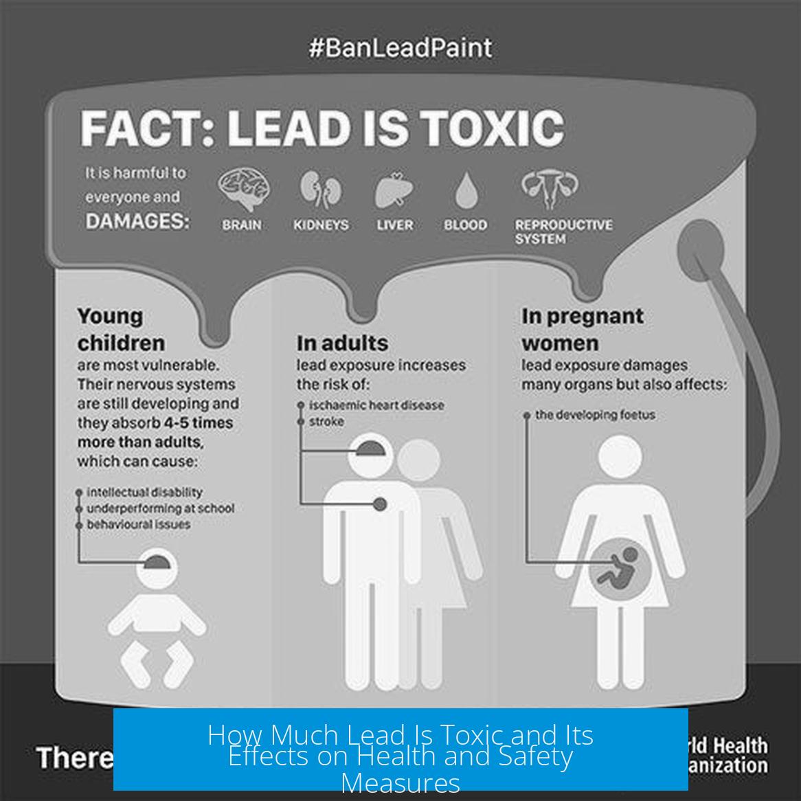 How Much Lead Is Toxic and Its Effects on Health and Safety Measures