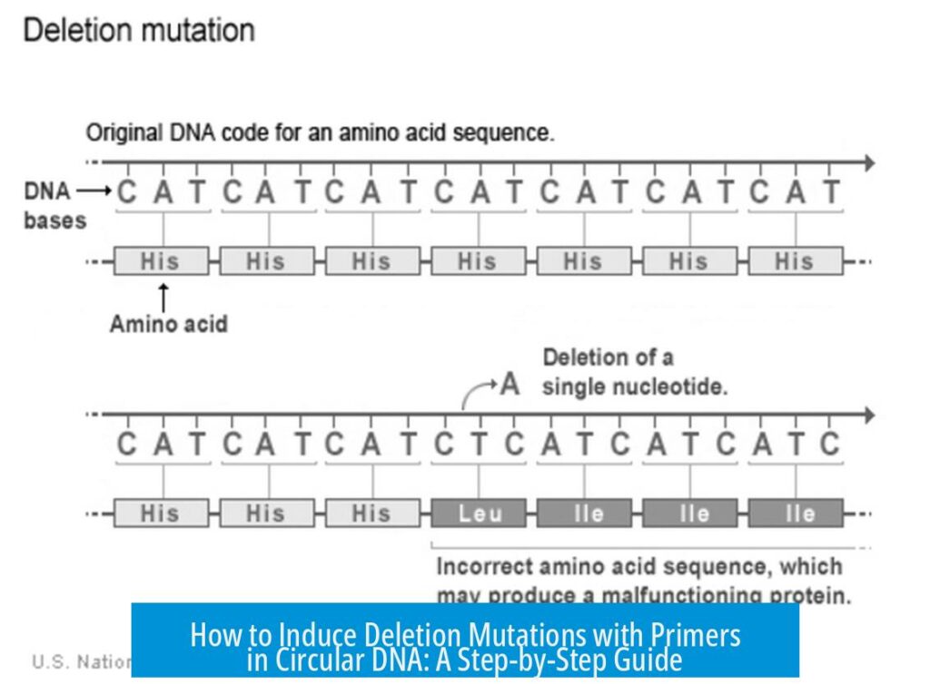 How to Induce Deletion Mutations with Primers in Circular DNA: A Step ...