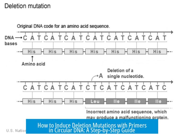 How to Induce Deletion Mutations with Primers in Circular DNA: A Step-by-Step Guide