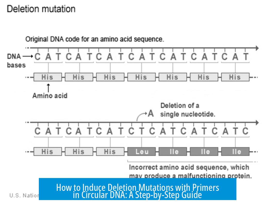How to Induce Deletion Mutations with Primers in Circular DNA: A Step-by-Step Guide