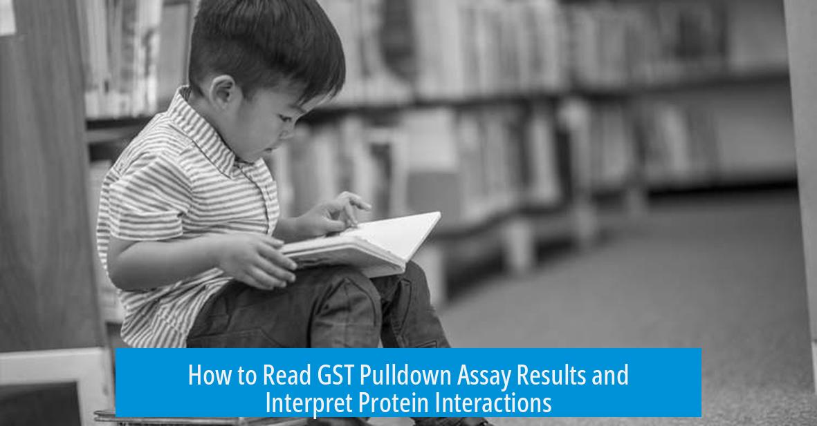How to Read GST Pulldown Assay Results and Interpret Protein Interactions