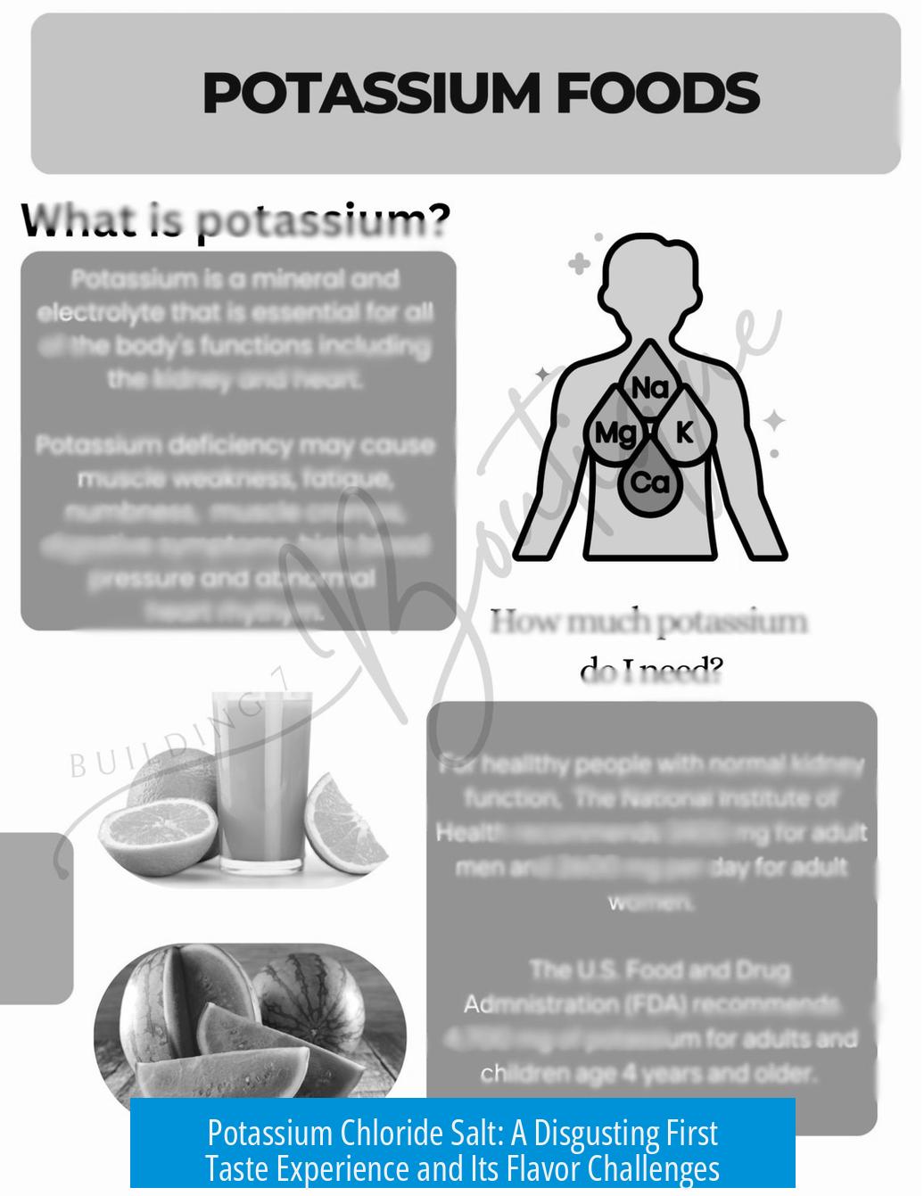 Potassium Chloride Salt: A Disgusting First Taste Experience and Its Flavor Challenges
