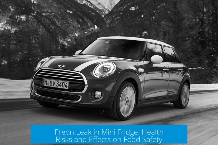 Freon Leak in Mini Fridge: Health Risks and Effects on Food Safety