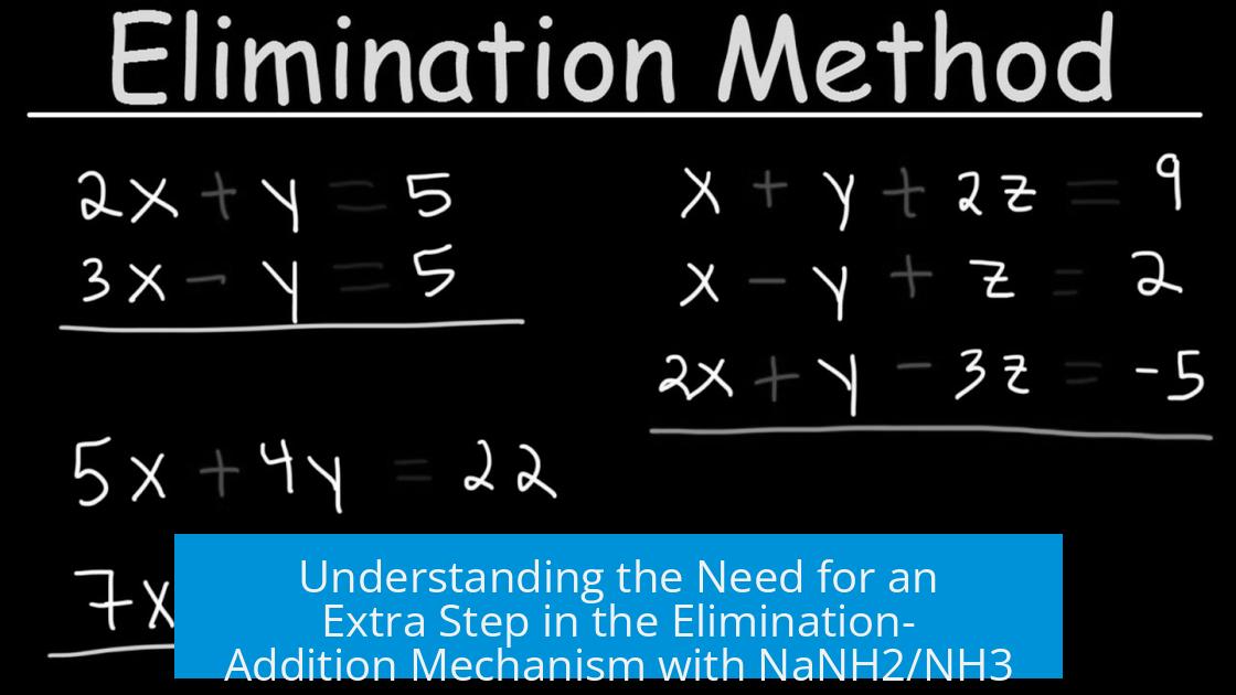 Understanding the Need for an Extra Step in the Elimination-Addition Mechanism with NaNH2/NH3