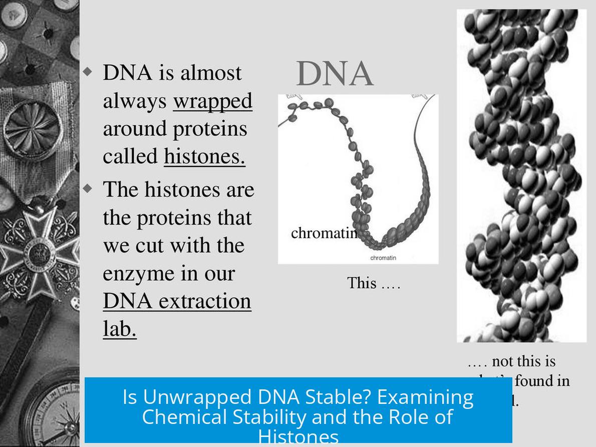 Is Unwrapped DNA Stable? Examining Chemical Stability and the Role of Histones
