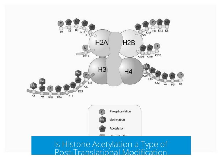 Is Histone Acetylation a Type of Post-Translational Modification