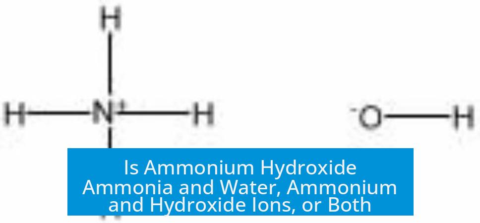 Is Ammonium Hydroxide Ammonia and Water, Ammonium and Hydroxide Ions, or Both