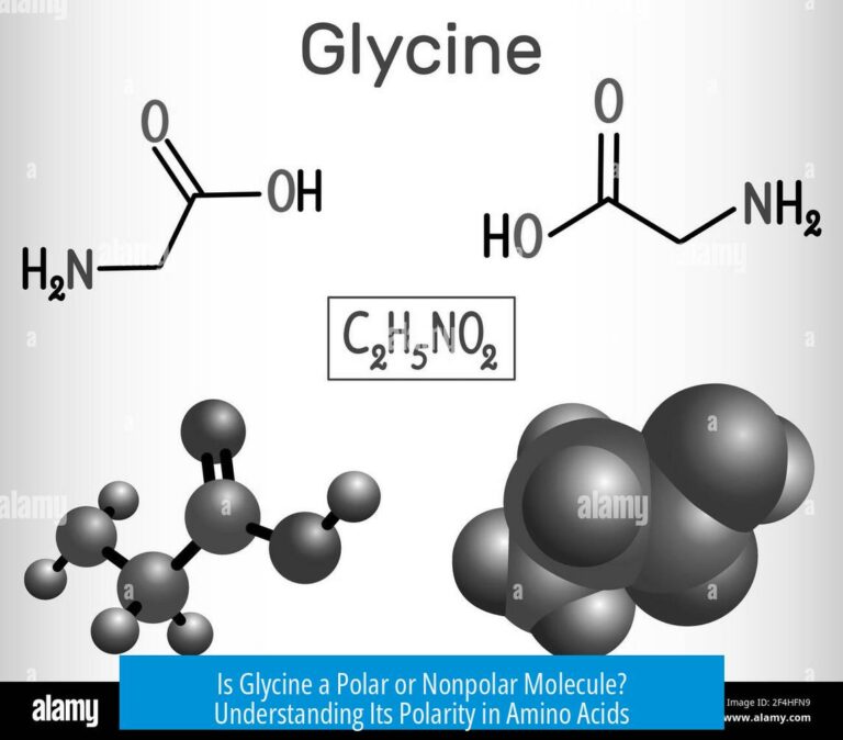 Is Glycine a Polar or Nonpolar Molecule? Understanding Its Polarity in Amino Acids
