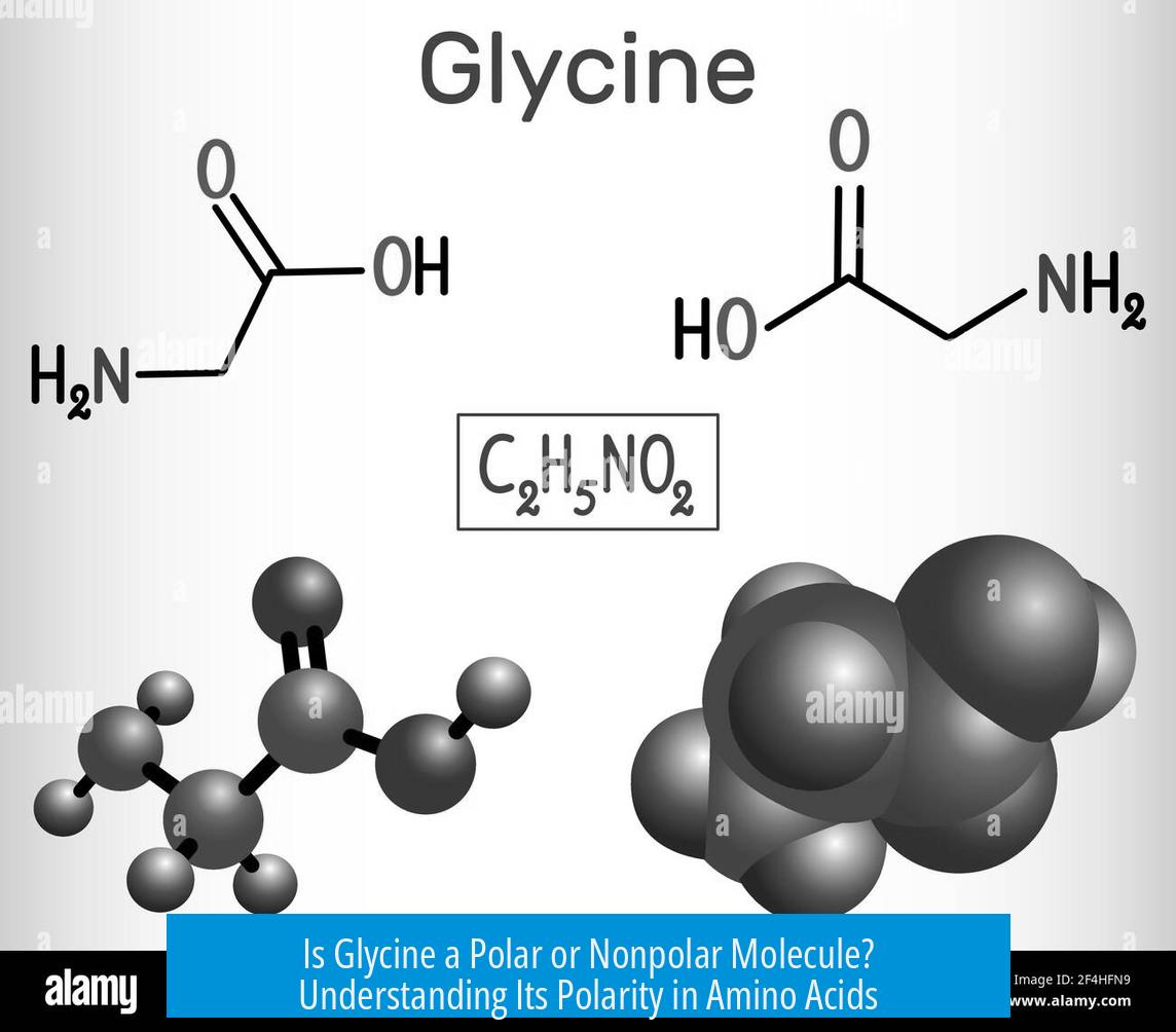 Is Glycine a Polar or Nonpolar Molecule? Understanding Its Polarity in Amino Acids