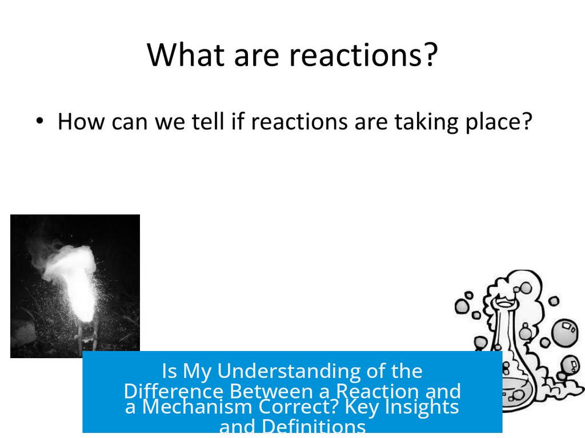 Is My Understanding of the Difference Between a Reaction and a Mechanism Correct? Key Insights and Definitions