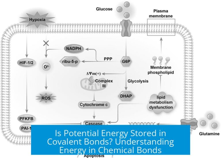 Is Potential Energy Stored in Covalent Bonds? Understanding Energy in Chemical Bonds