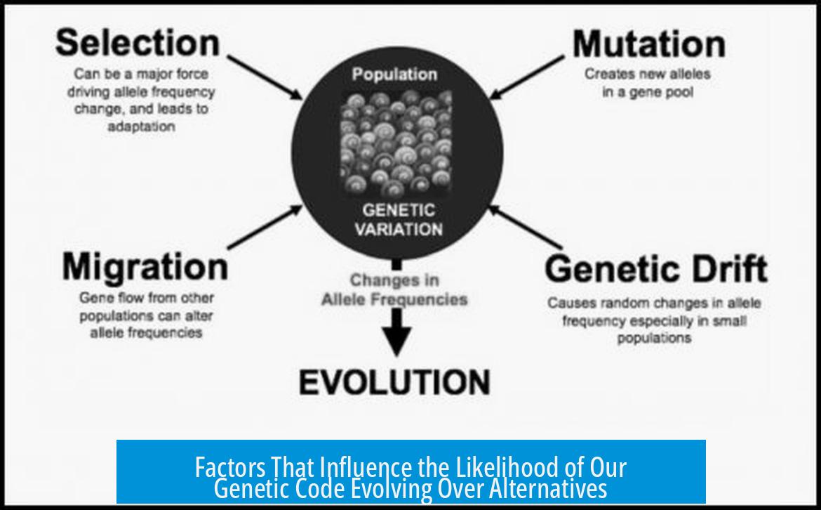 Factors That Influence the Likelihood of Our Genetic Code Evolving Over Alternatives