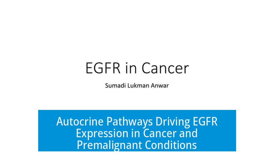 Autocrine Pathways Driving EGFR Expression in Cancer and Premalignant Conditions