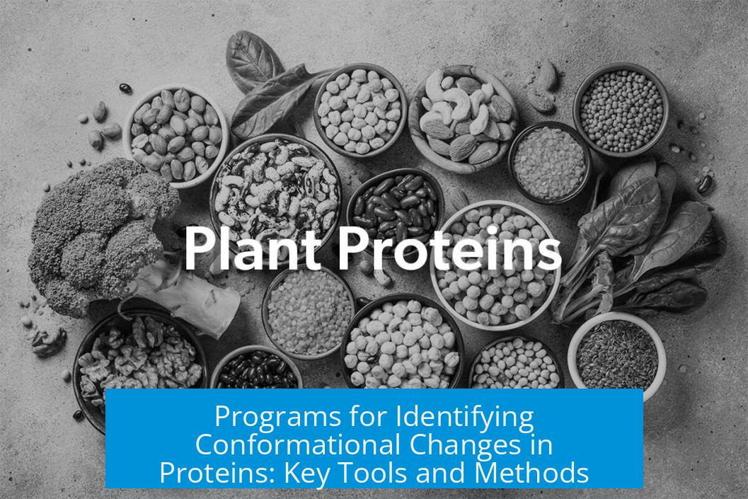 Programs for Identifying Conformational Changes in Proteins: Key Tools and Methods