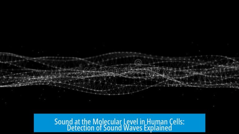Sound at the Molecular Level in Human Cells: Detection of Sound Waves Explained