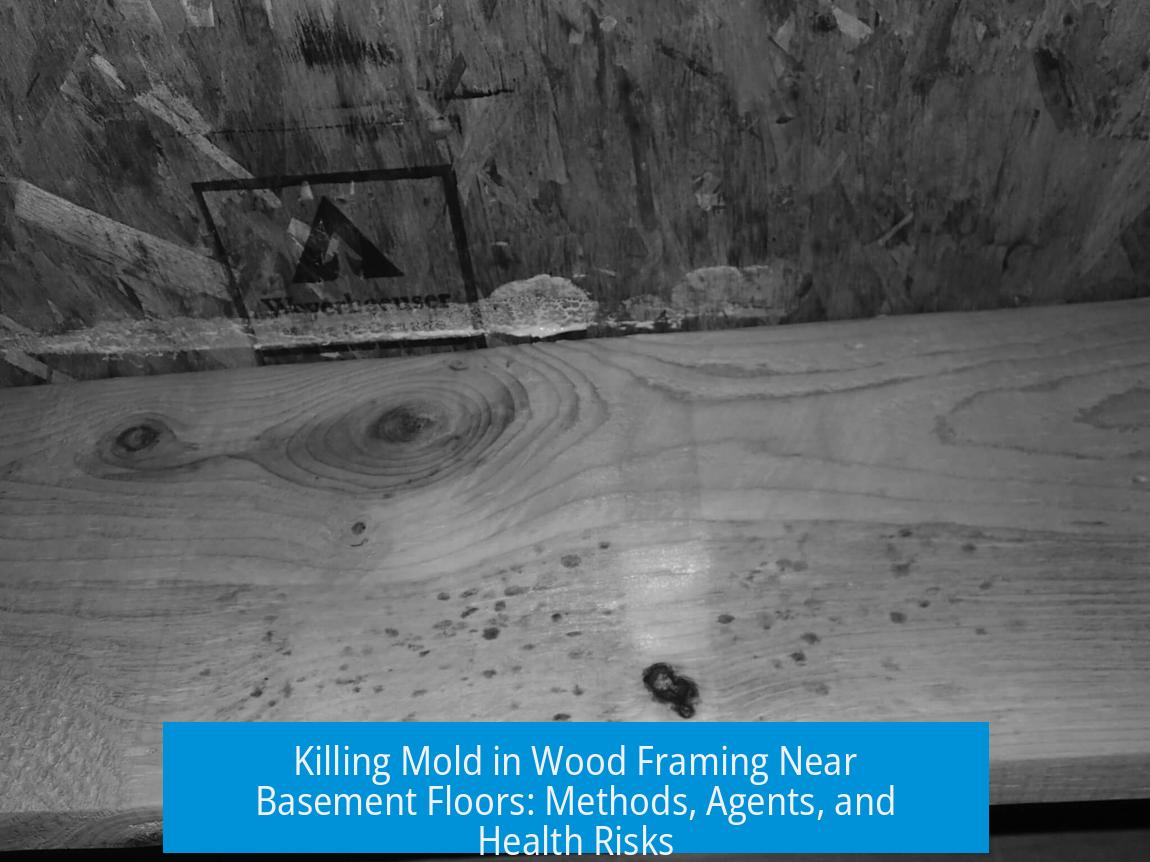 Killing Mold in Wood Framing Near Basement Floors: Methods, Agents, and Health Risks