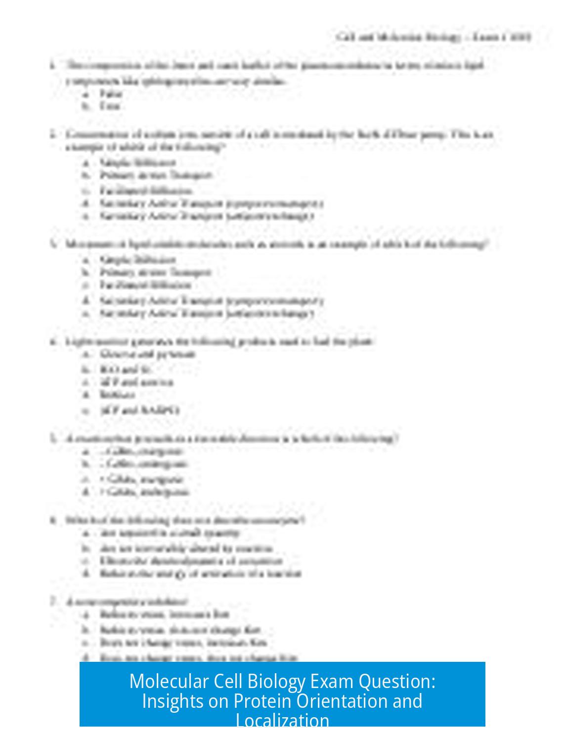 Molecular Cell Biology Exam Question: Insights on Protein Orientation and Localization