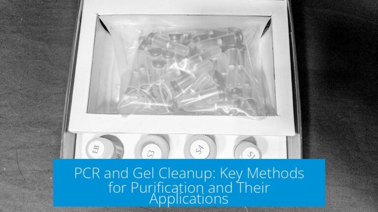 PCR and Gel Cleanup: Key Methods for Purification and Their Applications