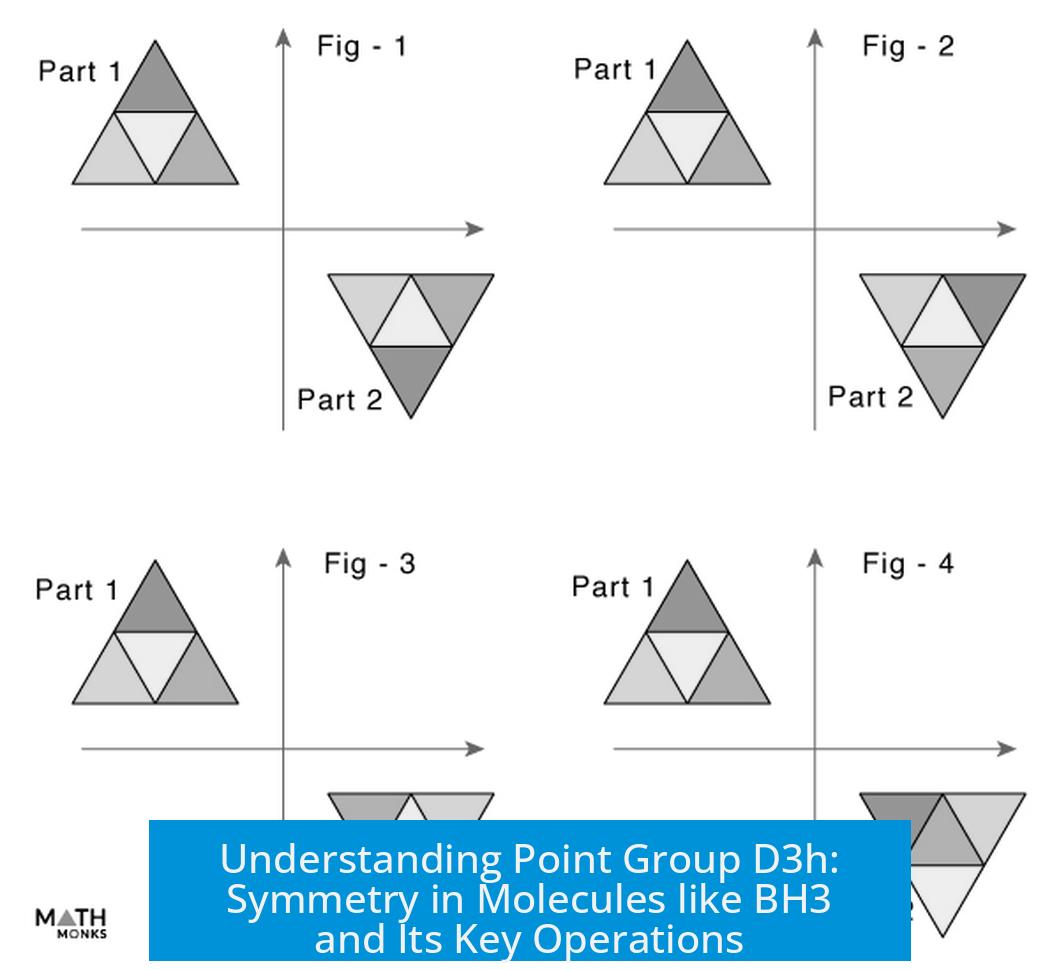 Understanding Point Group D3h: Symmetry in Molecules like BH3 and Its Key Operations