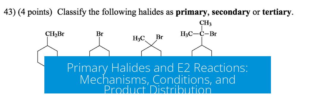 Primary Halides and E2 Reactions: Mechanisms, Conditions, and Product Distribution