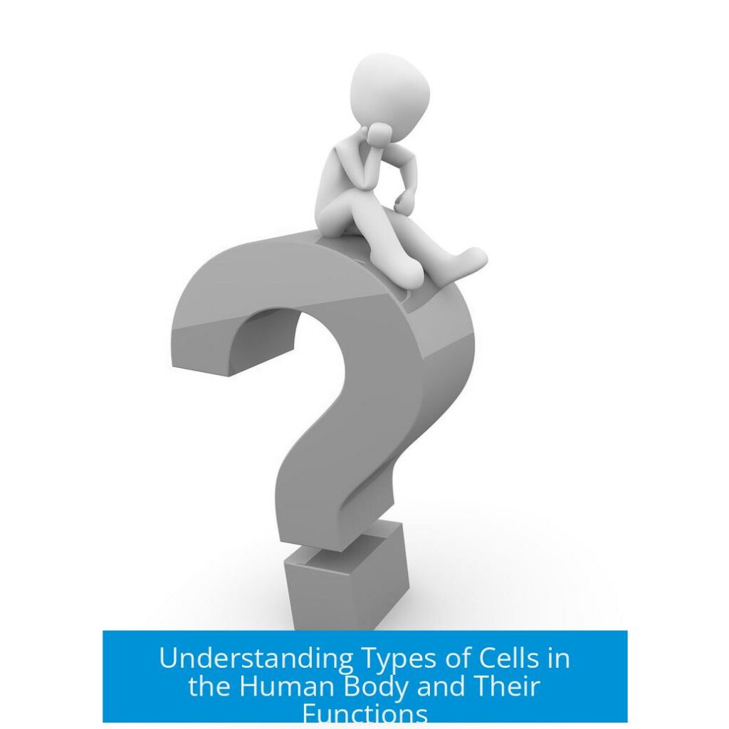 Understanding Types of Cells in the Human Body and Their Functions