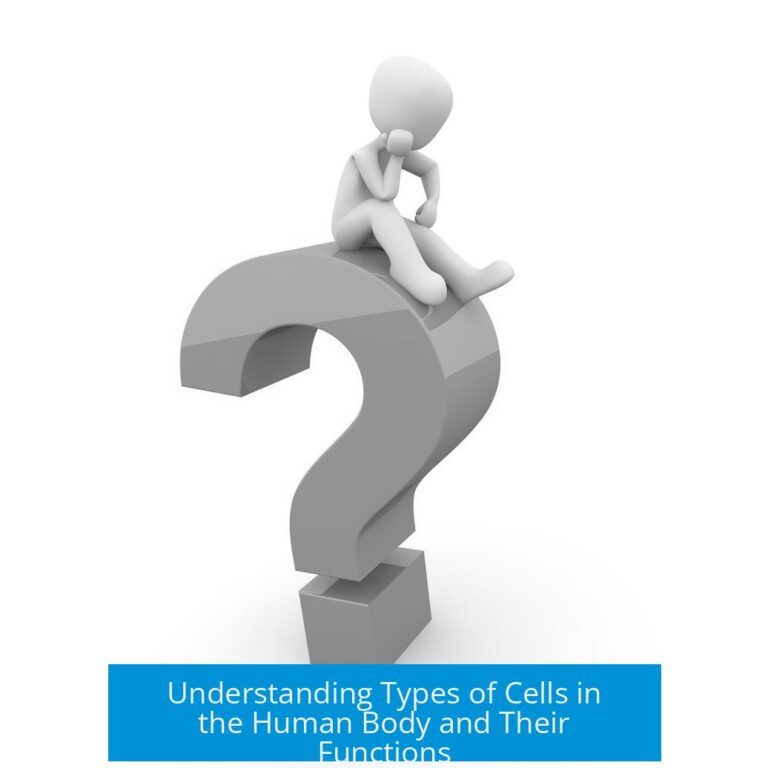 Understanding Types of Cells in the Human Body and Their Functions