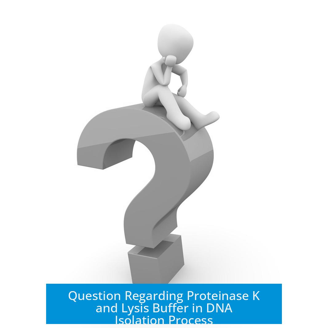 Question Regarding Proteinase K and Lysis Buffer in DNA Isolation Process