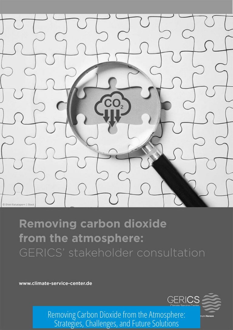 Removing Carbon Dioxide from the Atmosphere: Strategies, Challenges, and Future Solutions