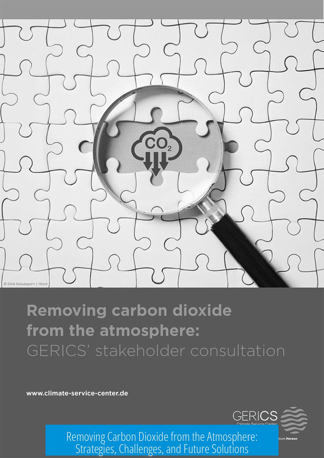 Removing Carbon Dioxide from the Atmosphere: Strategies, Challenges, and Future Solutions