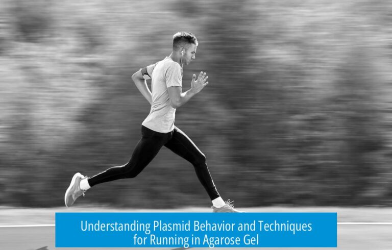 Understanding Plasmid Behavior and Techniques for Running in Agarose Gel