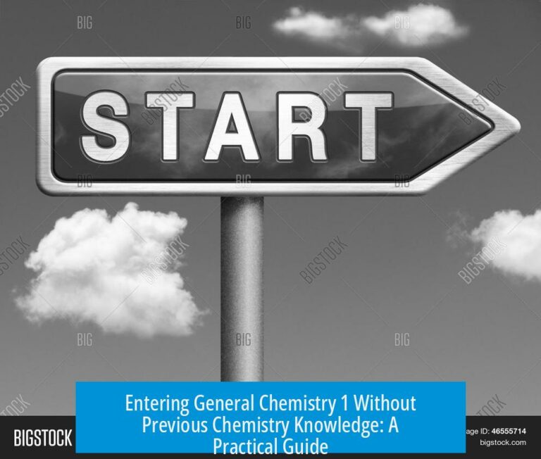 Entering General Chemistry 1 Without Previous Chemistry Knowledge: A Practical Guide