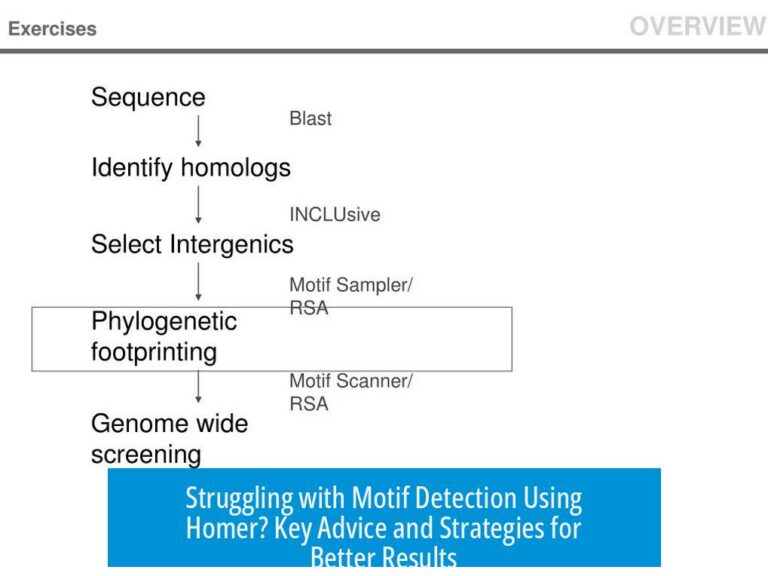 Struggling with Motif Detection Using Homer? Key Advice and Strategies for Better Results