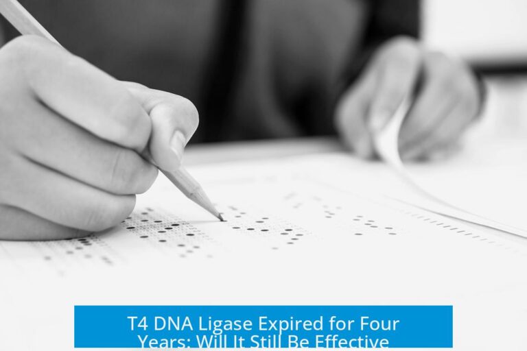 T4 DNA Ligase Expired for Four Years: Will It Still Be Effective