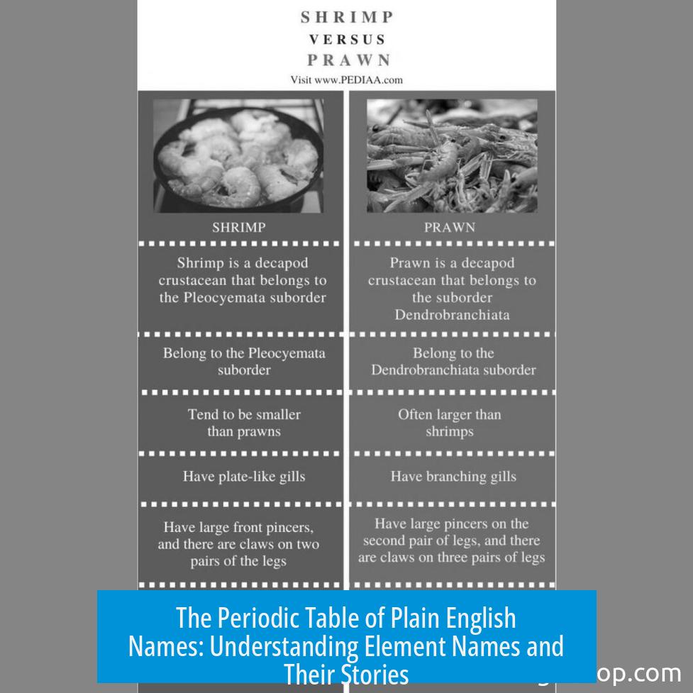 The Periodic Table of Plain English Names: Understanding Element Names and Their Stories