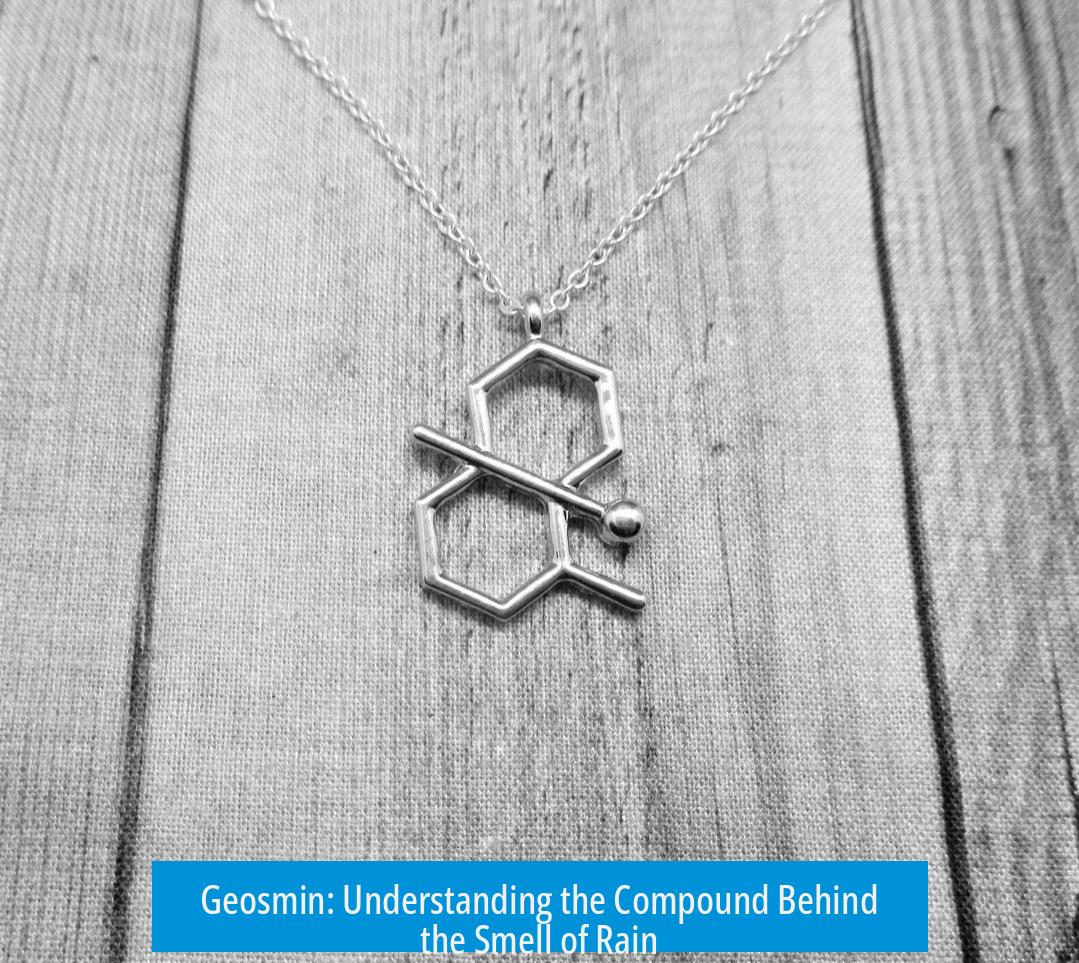 Geosmin: Understanding the Compound Behind the Smell of Rain