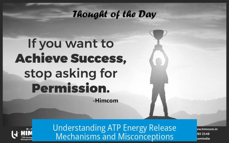 Understanding ATP Energy Release Mechanisms and Misconceptions