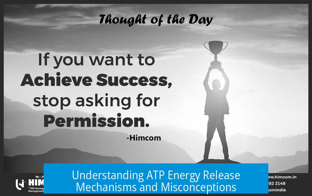Understanding ATP Energy Release Mechanisms and Misconceptions