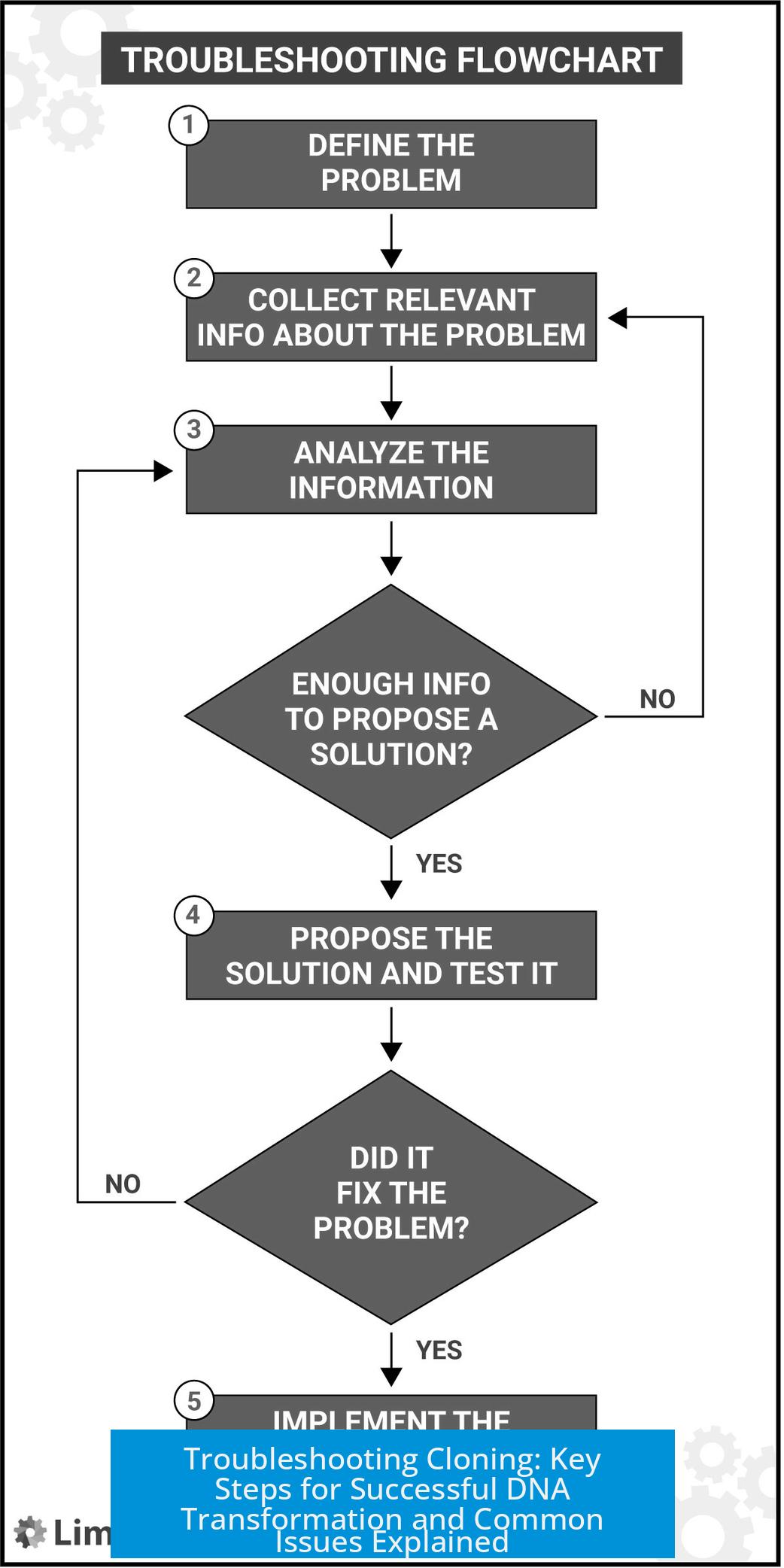Troubleshooting Cloning: Key Steps for Successful DNA Transformation and Common Issues Explained