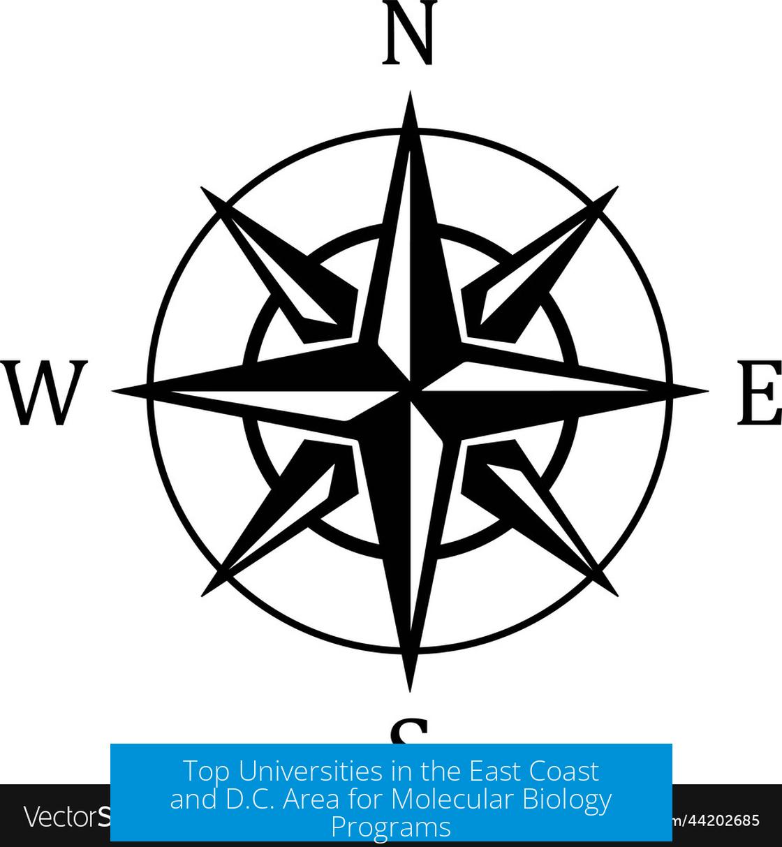 Top Universities in the East Coast and D.C. Area for Molecular Biology Programs